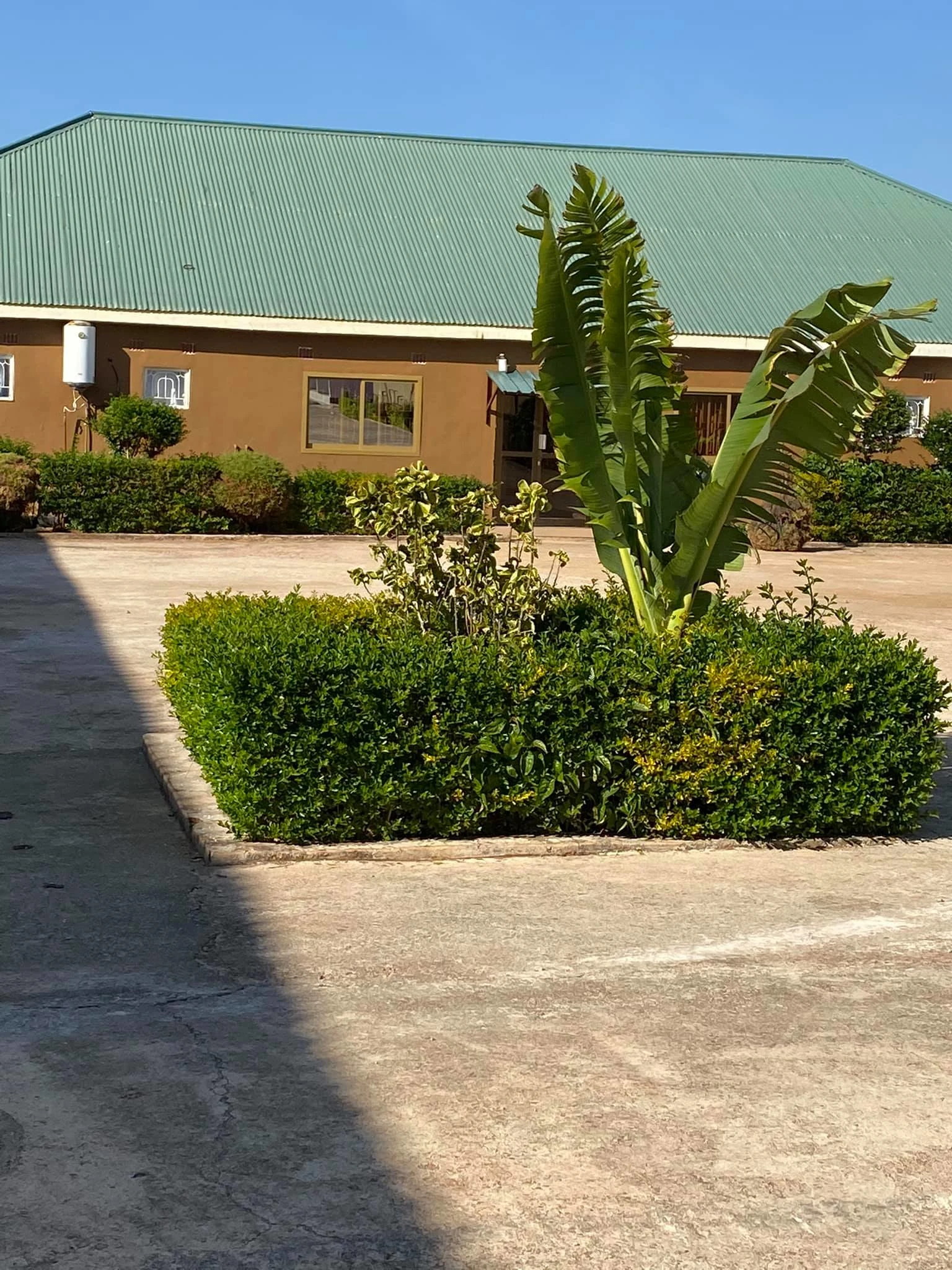 stroll through beauty